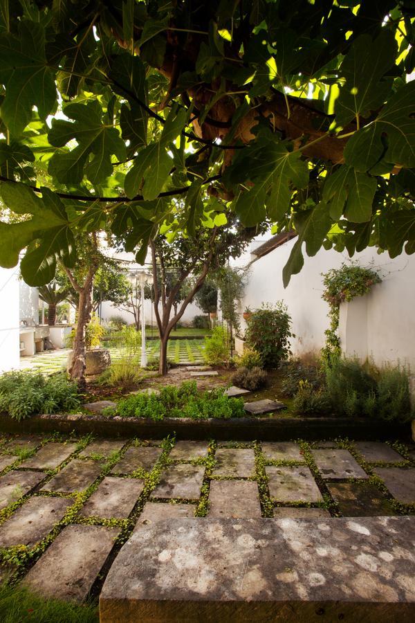 La Naca Della Taranta B&B กาลาตีนา ภายนอก รูปภาพ